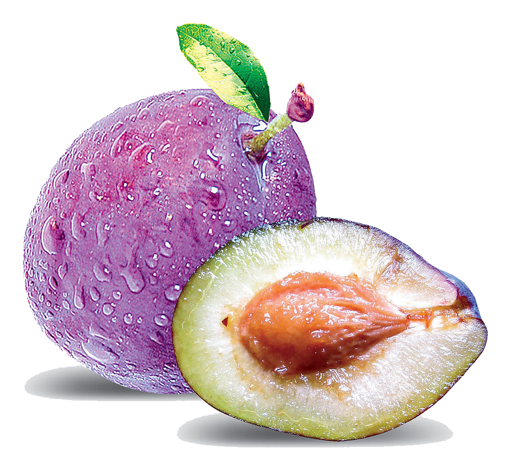 利臻機械西梅汁生產線