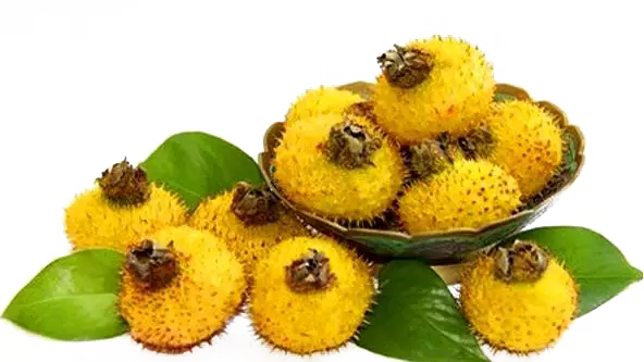 刺梨汁飲料的發展前景