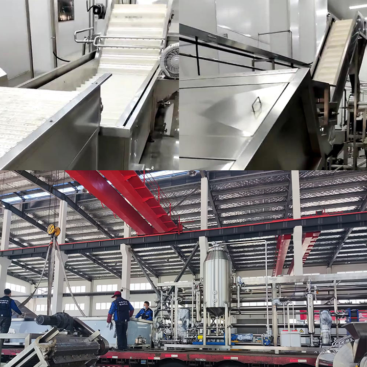 1682584706115217.jpg 不老莓調試4.jpg