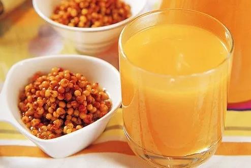 江蘇利臻機械沙棘汁加工生產線